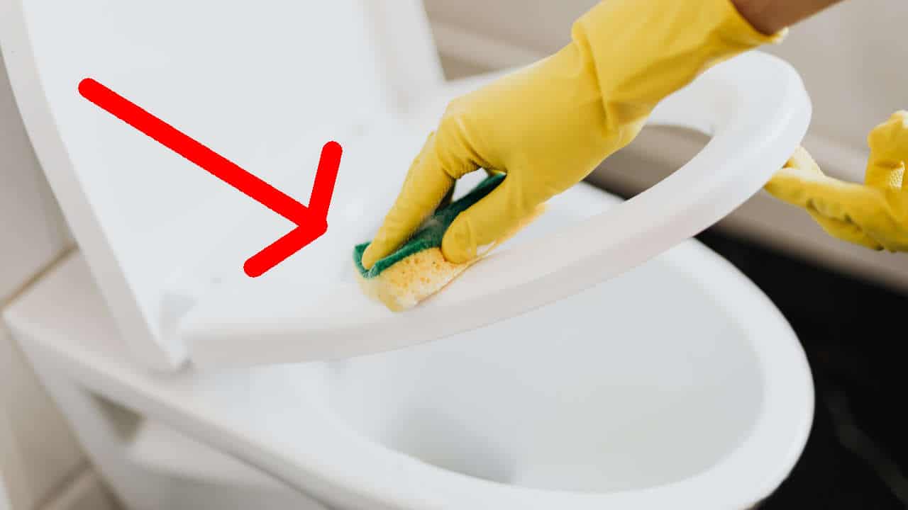 Impara 9 modi per sturare il WC in modo semplice