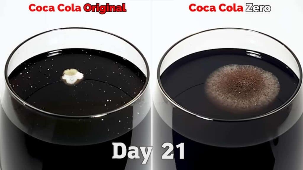 Un uomo lascia all'aria i bicchieri di Coca-Cola e Coca-Cola Zero per 100 giorni per vedere cosa succede