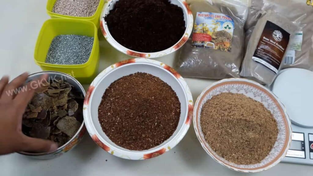 Come creare in casa un fertilizzante per piante