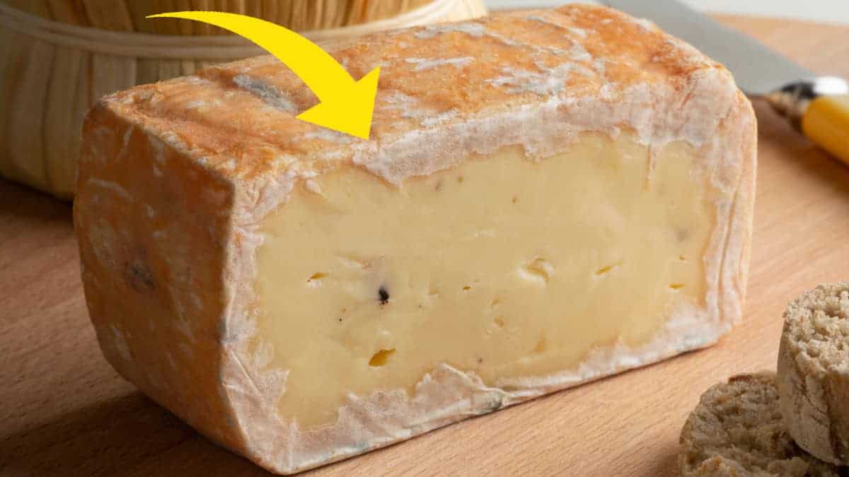 Quando c’è la muffa sul formaggio si può mangiare? Ecco quando si può pulire e quando no