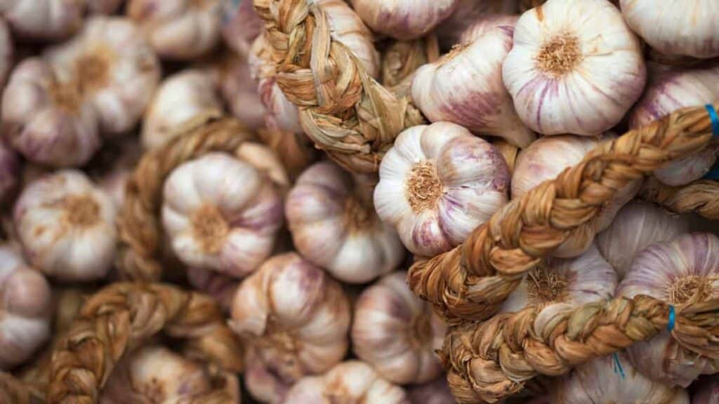 4 trucchi semplicissimi per conservare l'aglio