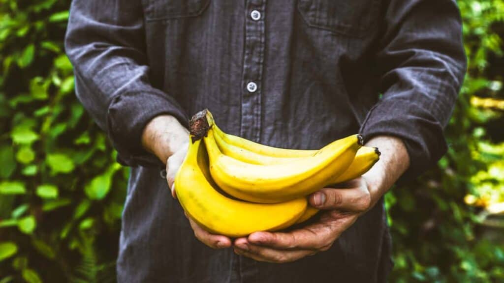 proprietà e benefici nutritivi della banana