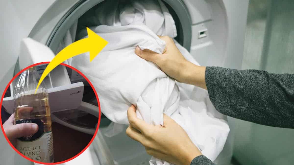 Basta lenzuola stropicciate: basta mettere questo ingrediente in lavatrice