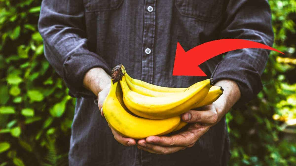 La banana: tutti i segreti di un frutto ricco di proprietà e benefici.