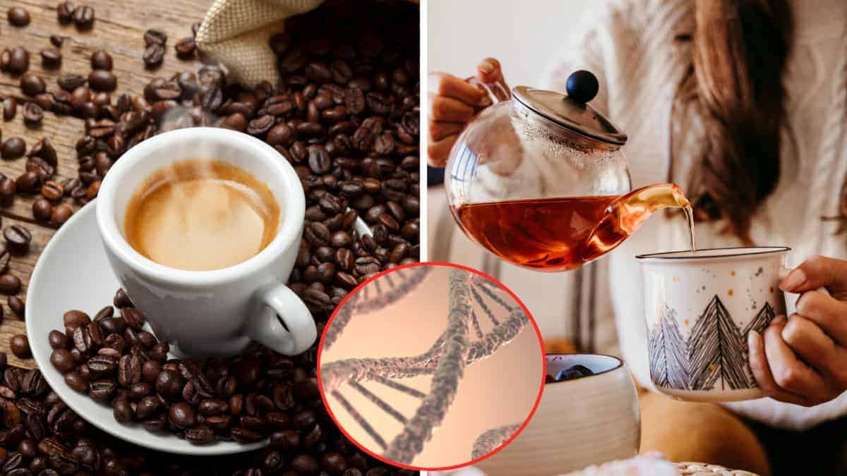 Perché alcune persone preferiscono il caffè, mentre altre propendono per il tè? Secondo la scienza la risposta si trova nel nostro DNA.