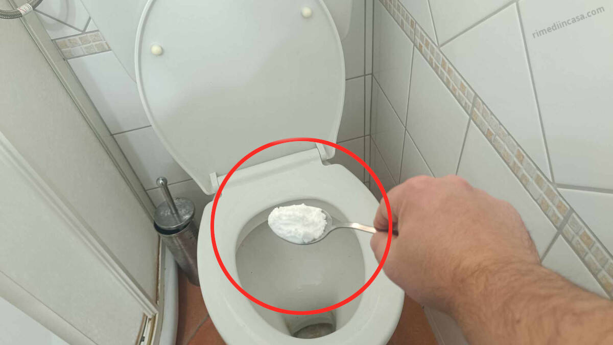 Metodi naturali per mantenere il WC sempre profumato