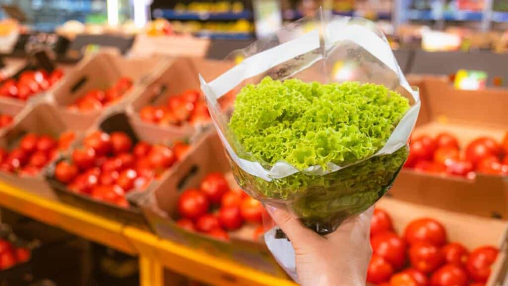 come utilizzare l'insalata in busta in modo sicuro ed efficiente