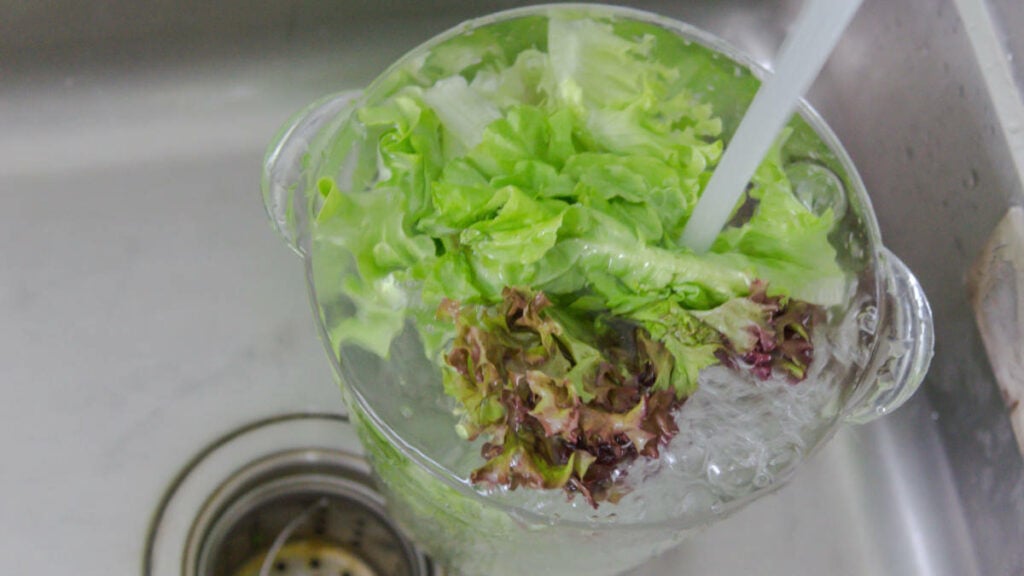 come utilizzare l'insalata in busta in modo sicuro ed efficiente
