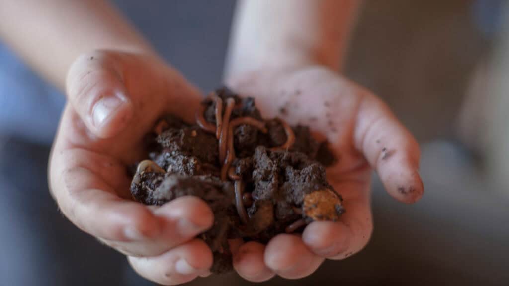 I lombrichi: piccoli alleati segreti per un giardino rigoglioso