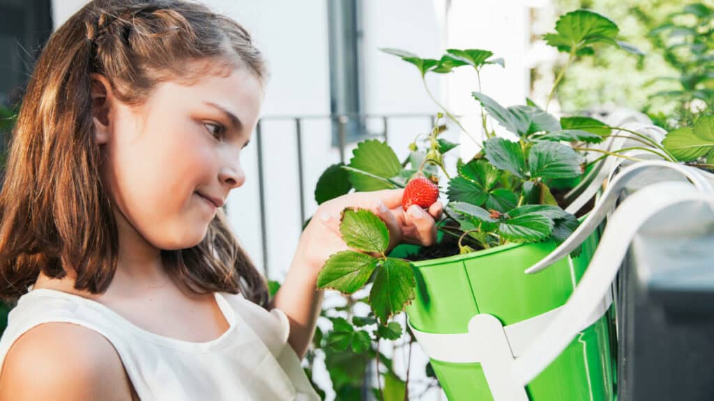 piante adatte per ogni tipo di balcone