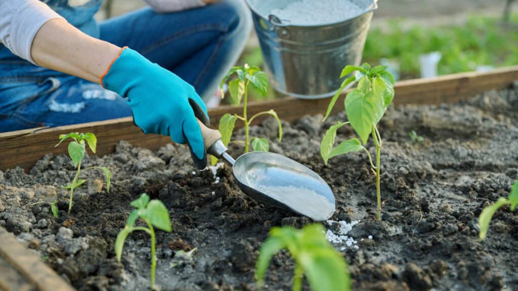 I vantaggi dei fertilizzanti naturali per una crescita delle piante