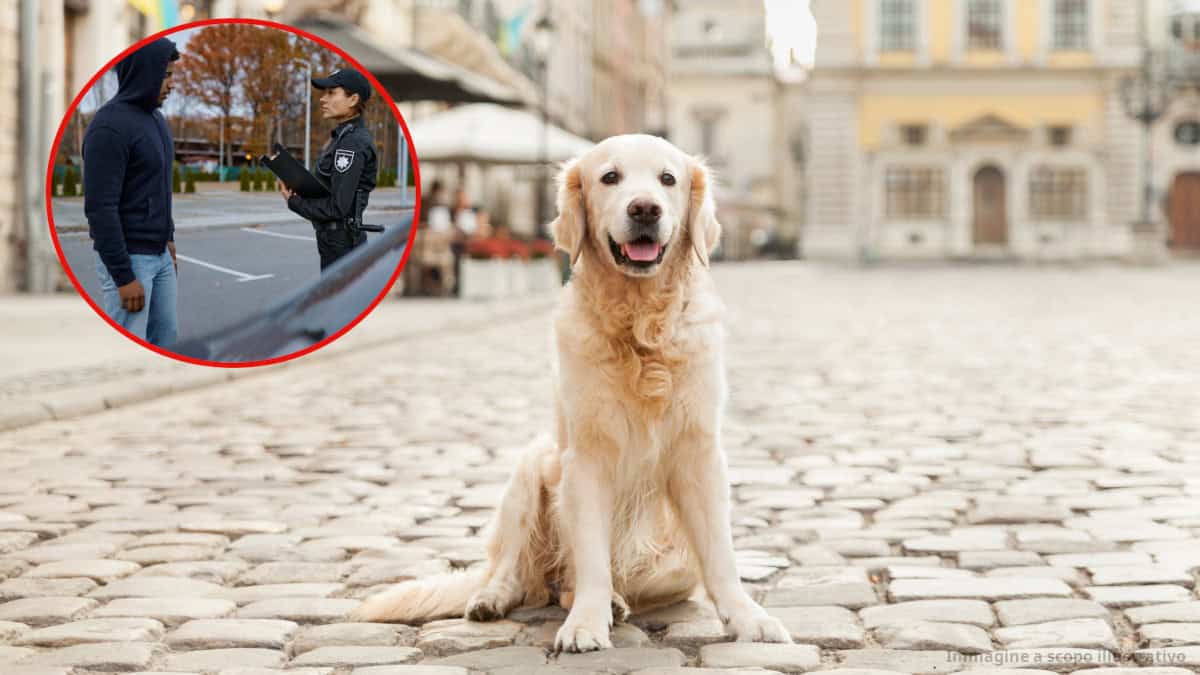 Uomo multato per aver lasciato il cane solo per strada: “Dobbiamo prenderci cura dei nostri animali”