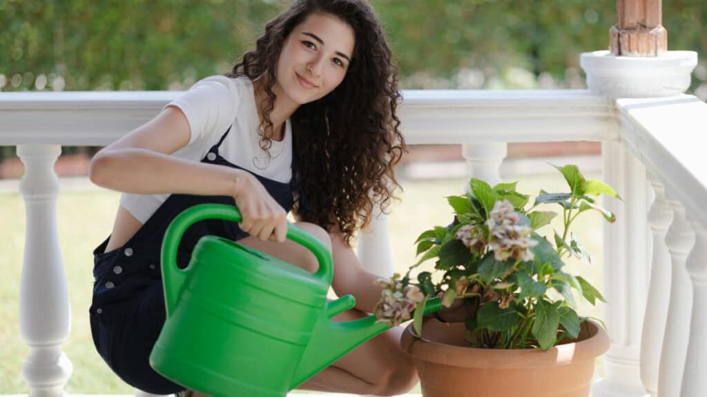 Privacy e bellezza: Come creare una barriera verde sul terrazzo con le piante