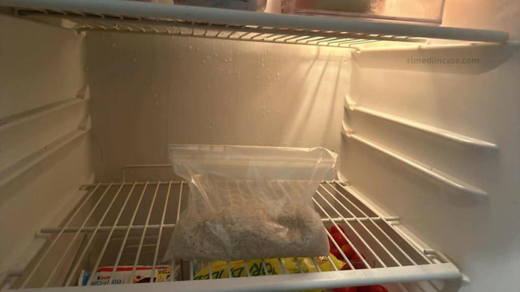 ecco perché dovresti mettere un sacchetto di riso in frigo