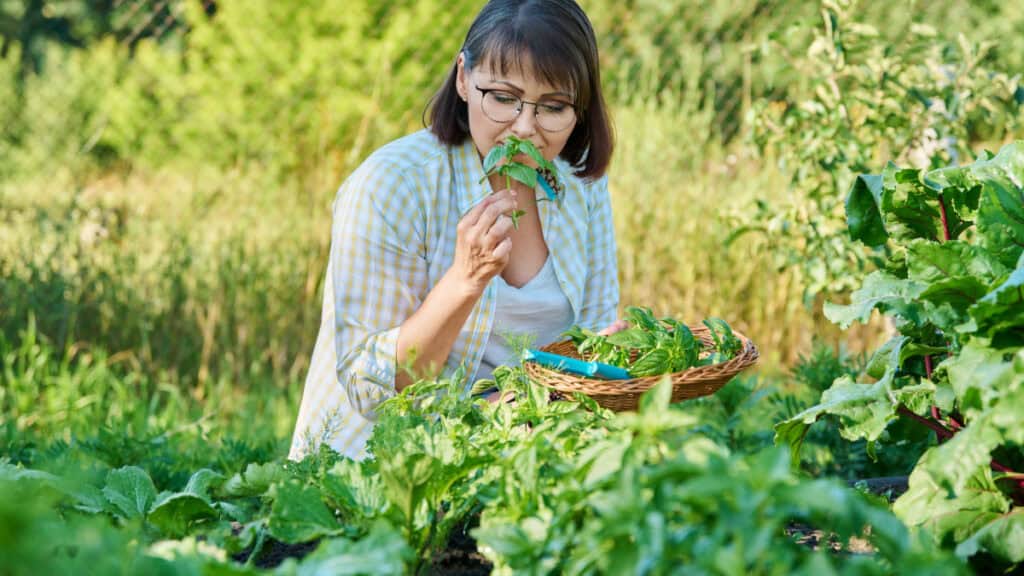 Come avere un giardino e un grto rigogliosi