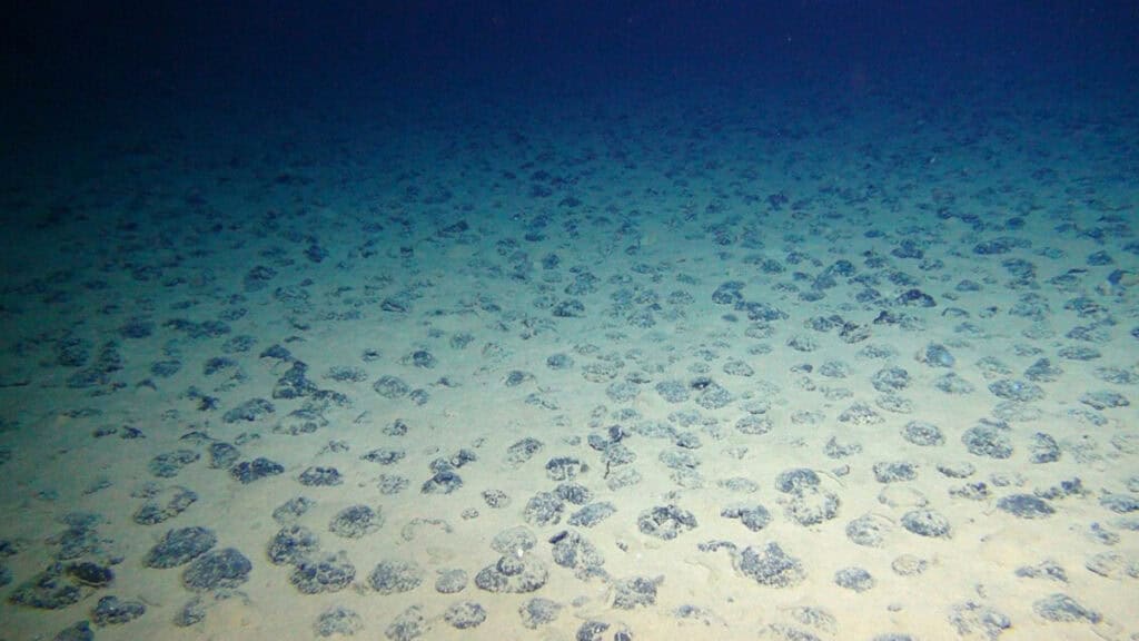 Ossigeno Oscuro: La rivelazione che potrebbe riscrivere la storia della vita sulla terra