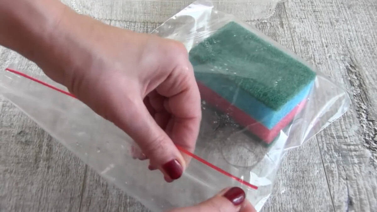 5 Spugnette Umidificatrici Per Dita - Per Contare Banconote, Strumento Per Banche E Negozi, Plastica Antiscivolo